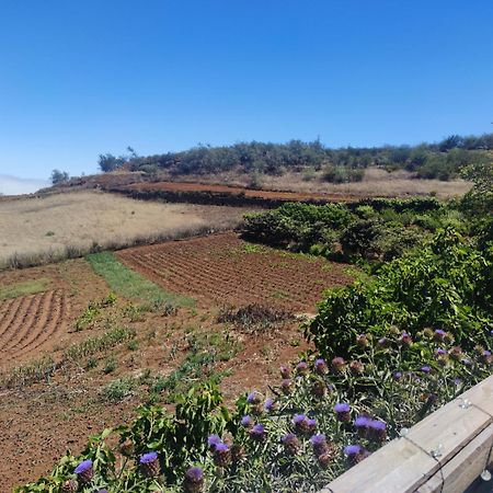 Finca El Cercadillo Гальдар Экстерьер фото